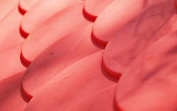 Ardchronie plastic roof costs